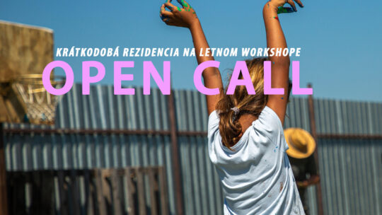 Združenie Art Aktivista vyhlasuje OPEN CALL 2024 / pre umelkyne a umelcov na krátkodobú rezidenciu v Sečovciach.